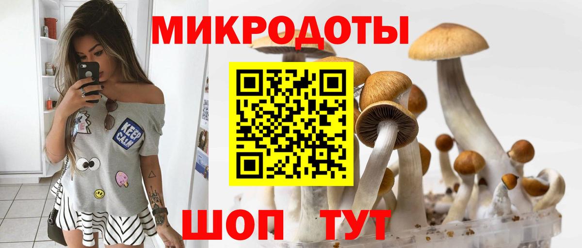 Будённовск  Галлюциногенные грибы мицелий  Вход с VPN 